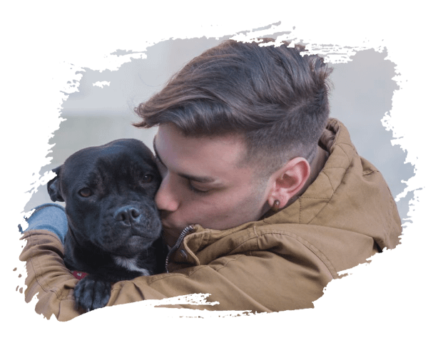 Bursa Köpek Oteli